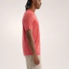 Camicia da uomo Ionia in lana merino SS