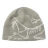 Cappellino a cappuccio Arc"teryx "Bird Head" Grey