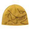 Cappellino Arc'teryx Bird Head "Giallo"