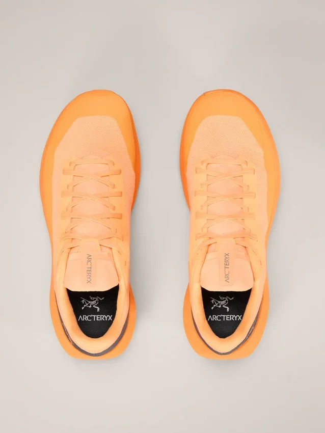 Scarpa Norvan LD 4 da uomo