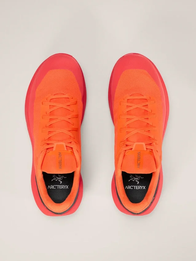 Scarpa Norvan LD 4 da uomo