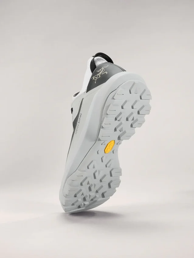 Scarpe da alpinismo Vertex da uomo